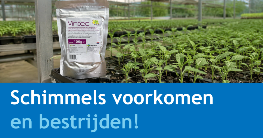 Vintec
